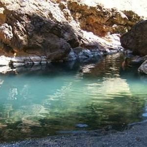 Meet your Posher, Janice